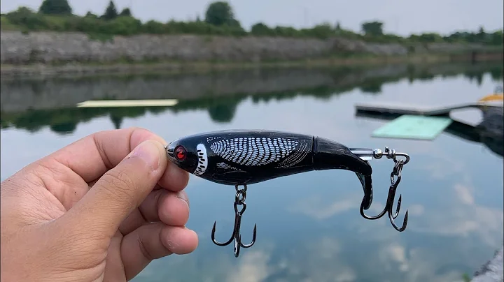 INSANE Topwater blowups on the Whopper Plopper!