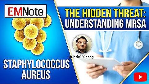 Staphylococcus aureus the prolific toxin producer