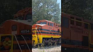 AGR 4054 leads longhood forward to boligee Alabama!