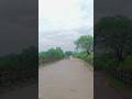 ⛈️ #shorts #motorcycle # bike #rider #nature #yt #ytshots