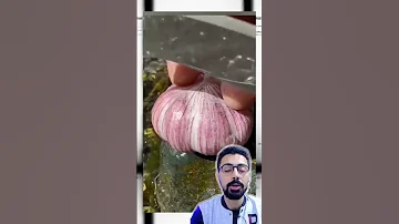الثوم و البصل الهجين Shorts 