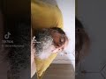 Cxu eblas konversacio en angla lingvo? Esperanto