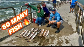 Jetty Fishing is HEATING up! **Packery Channel** (Corpus Christi, Tx)