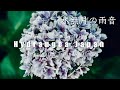 Cinematic Short Film｜水無月の雨音 ｜Hydrangea,Japan