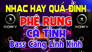 NHẠC Hay Quá Đỉnh, Nhạc Test Loa CỰC CHUẨN 8D - Nhạc Disco REMIX Bass Căng Lỉnh Kỉnh - Rung Cả Tỉnh