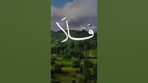 #quran #اكسبلور #تلاوة_هادئة #تيك_توك #قران_قبل_النوم #قران_كريم_بصوت_جميل_جدا #لايك #funny #دويتو