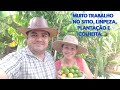 O trabalho não para, cuidamos do sítio plantamos e colhemos, Acabamos com os...