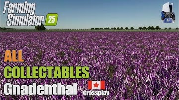 Collectables Gnadenthal | FS25 | Console | Earn extra money | All 50 Collectables