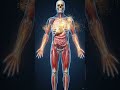 You Won't Believe What Milk Does Inside Your Body 👀