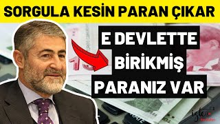 E Devlette Bi̇ri̇kmi̇ş Paraniz Var Sorgula Al Parani