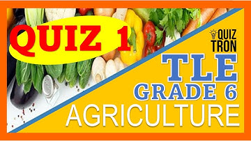TLE 6 QUIZ  AGRICULTURE