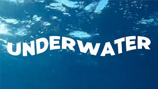VSDC Tutorial: Underwater Text Effect