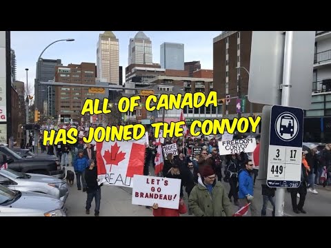 Cities across Canada join the movement