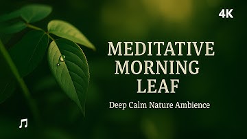 Meditative Morning Leaf — Deep Calm Nature Ambience for Focus & Relaxation