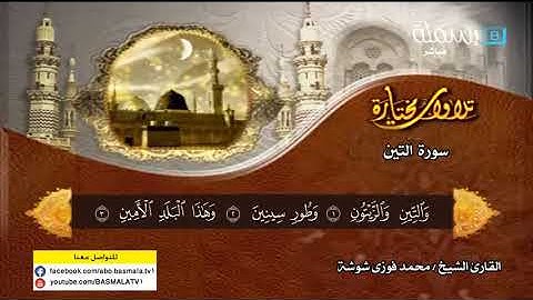 القارئ محمد فوزي شوشة | سورة التين
