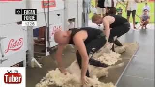 PEOPLE ARE INSANE 2017    FASTEST WORKERS IN THE WORLD