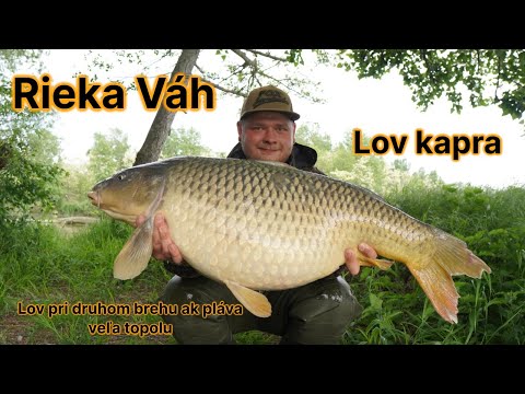 Jarný lov kapra