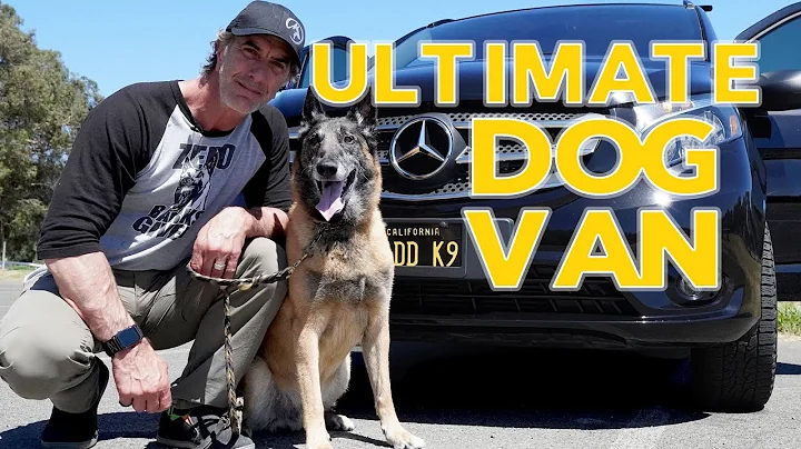 The Ultimate Dog Van - Dog Transport Van