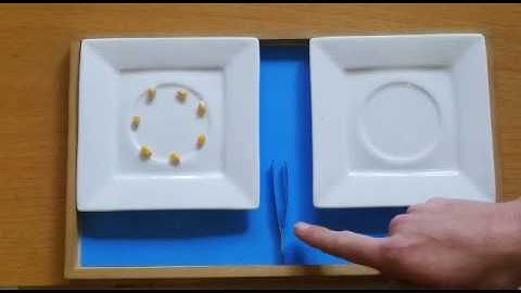 Montessori Practical Life Tweezing