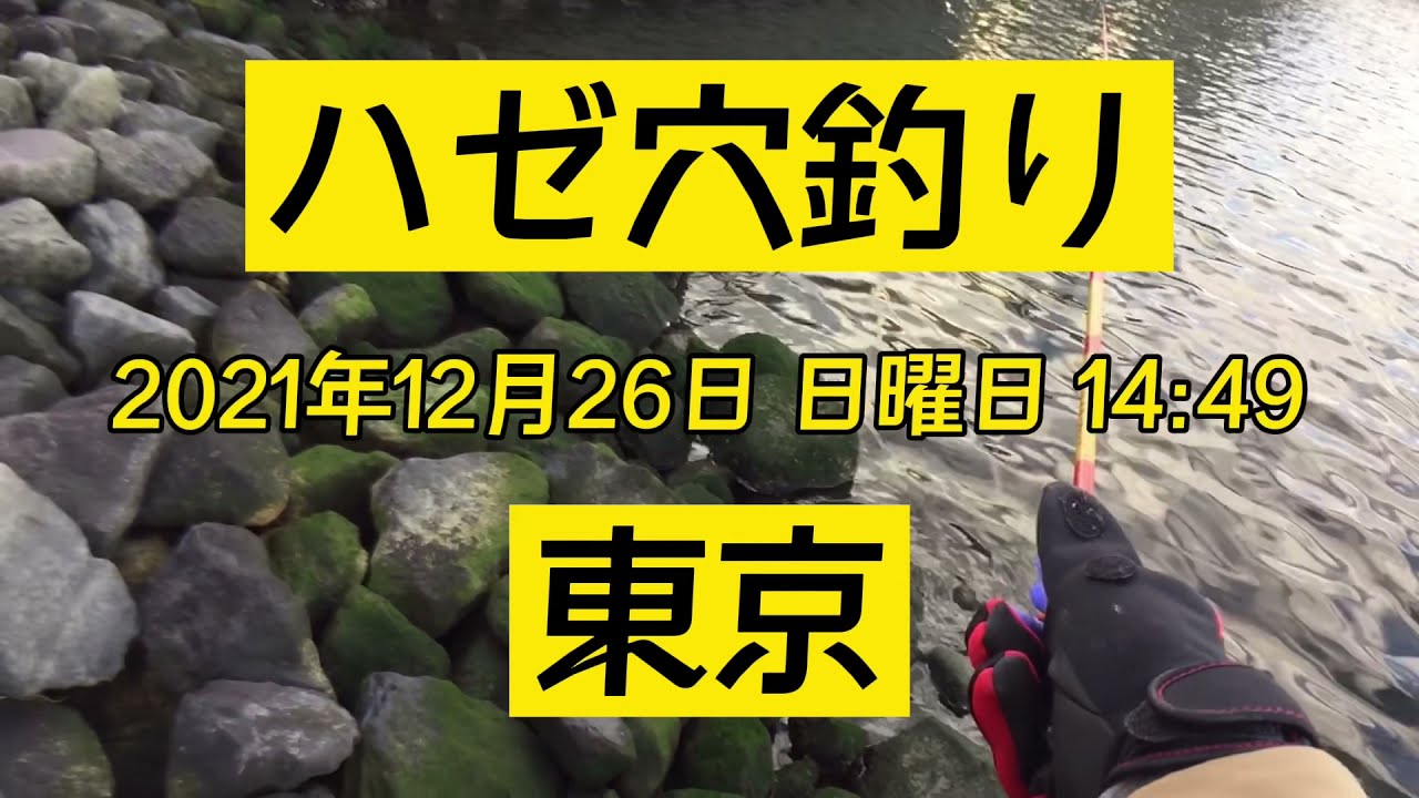 ハゼ穴釣り21年12月26日 日曜日 14 49東京 Youtube