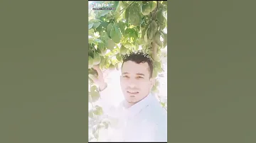 28 اپریل 2024 