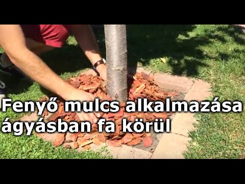 Videó: Mik Azok A Siderates és Mik. A Zöldtrágya Használata élő Mulcsként