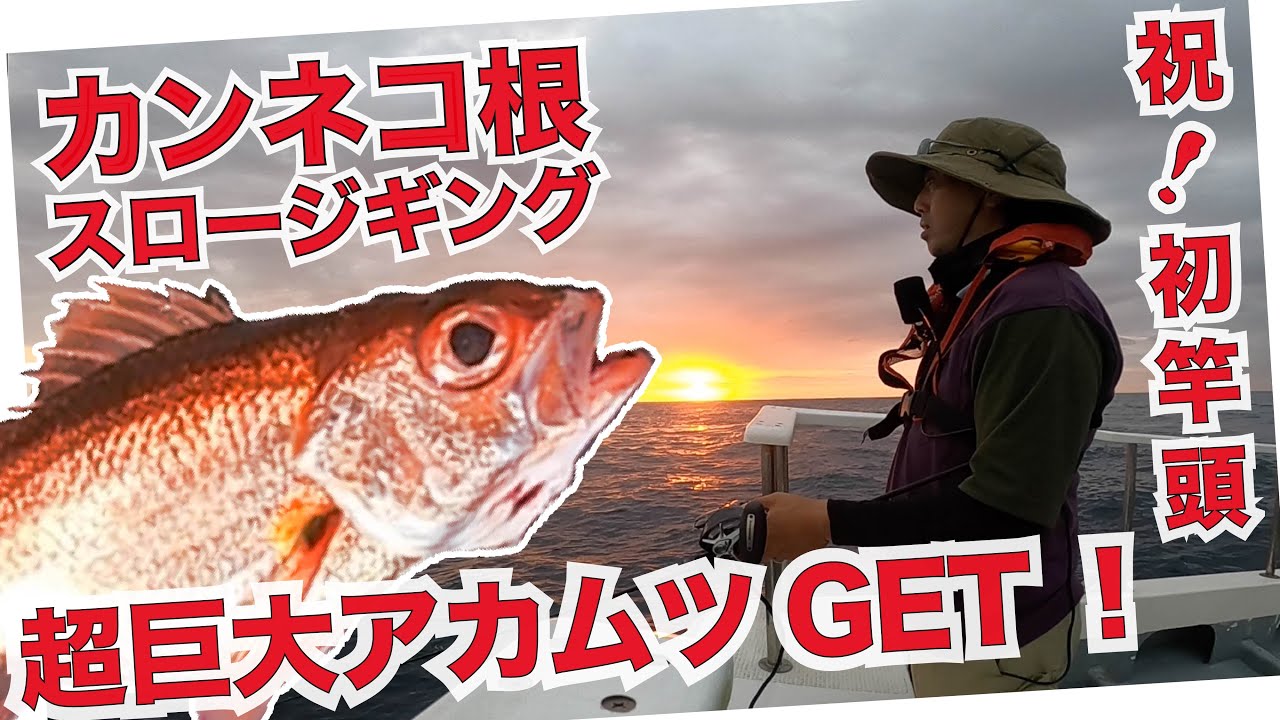 巨大アカムツ43cmが来たぁ👍アカムツジギング！まさかの竿頭！カンネコ根すごい！ 秋の釣り