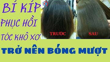 Phục hồi tóc khô xơ chẻ ngọn ai cũng làm được