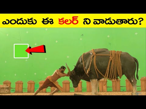 top-10-amazing-facts-|-telugu-facts-|-ep-9