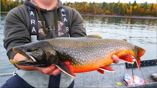 Fall Trout Fishing Adventure on Lake Superior (Catch and Cook)