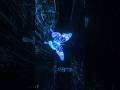 AI✨Neo Butterfly 🦋 #ai #shorts #butterfly #neon #veo3 #youtubeshorts