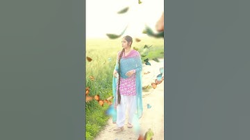 CapCut Butterfly Effect | CapCut Effect