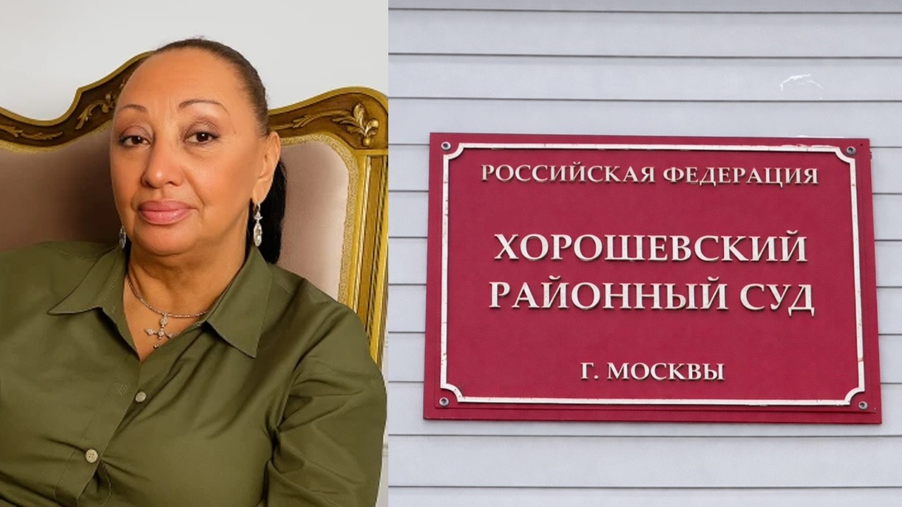 Адвокат семьи Яниса Тиммы опубликовала фрагмент записи заседания суда «Тимма против Седоковой».