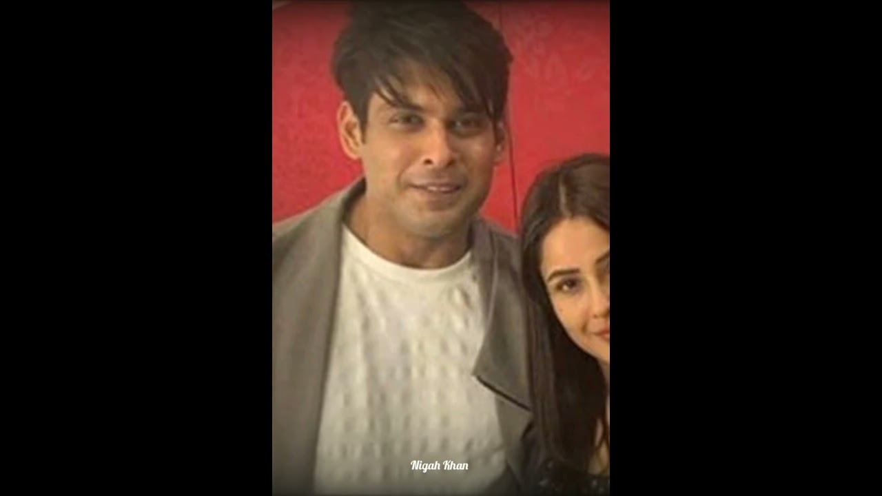 Sidharth Shukla Shehnaaz Gill Sidnaaz moments Sidnaaz VM  Hookah Bar Lofi Status