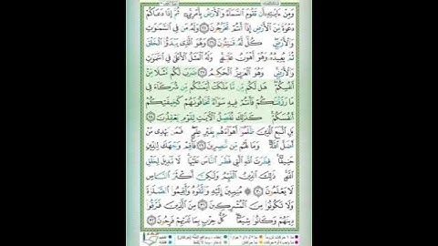 #سورة الروم#الآية_٢٨_تلاوة الشيخ أيمن سويد #قليل دائم خير