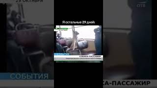 Работа вахтой в Минске