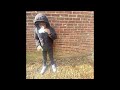 SHADSTACKZZ X MG SLEEPY X 10MEIL X CHESTER DRILL TYPE BEAT - "OUTTA STATE"