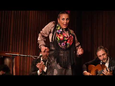Barbalé flamenco live