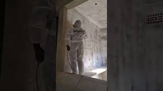 Aireless paint sprayer
