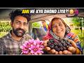 AMI NE KYA DHOND LIYA?! 😳 Kachnar & Shatut (Mulberries) | Full Family Vlog Pakistan 🍇🔥
