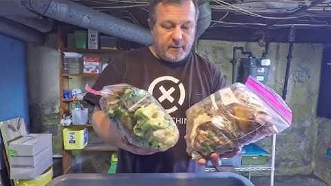 Bait boxes & feeding zone barriers & other worm bin fun - vermicomposting farm