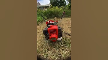 Khách Hàng Trải Nghiệm Cắt Cỏ Reload 543 Vip Chia Sẻ Lại Cảm Nhận