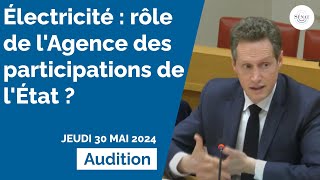 Électricité : rôle de l'Agence des participations de l'État ?