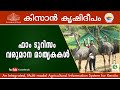 A success story of farm tourism in kerala  a good business proposition