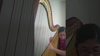 Nino Rota~The Godfather Love Theme (harp version) #shorts
