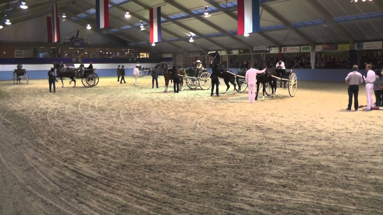 Noordelijke Tuigpaardendag Balkbrug 2014