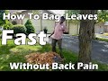 How To Bag fallen Leaves Fast and Without causing Back Pain- (A cozy ergonomic Leaf Cleanup Method)