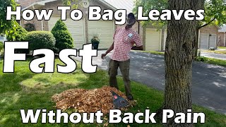 How To Bag fallen Leaves Fast and Without causing Back Pain- (A