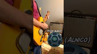Alnicoceramic Speakers