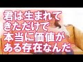 【泣ける話】君は生まれてきただけで、本当に価値がある存在なんだよ。
